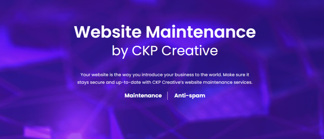 Google Compliance & Website Maintenance